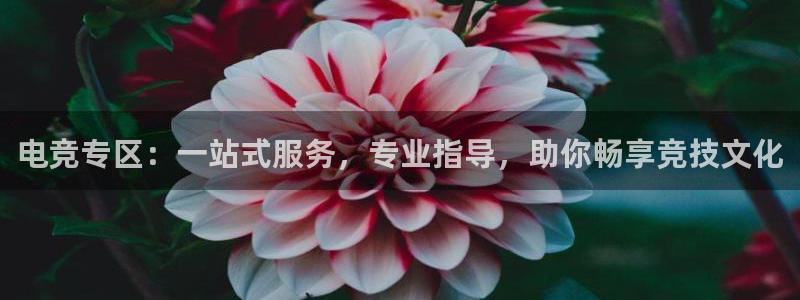 米兰电竞网页版入口：电竞专区：一站式服务，专业指导，助你畅享竞技文化