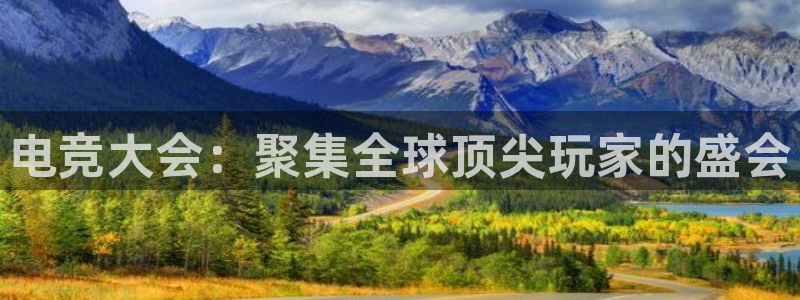 米兰电竞体育：电竞大会：聚集全球顶尖玩家的盛会