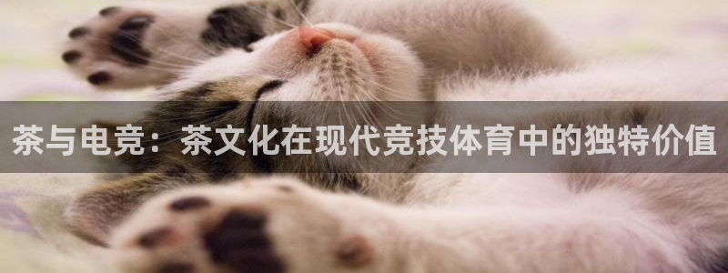 米兰电竞