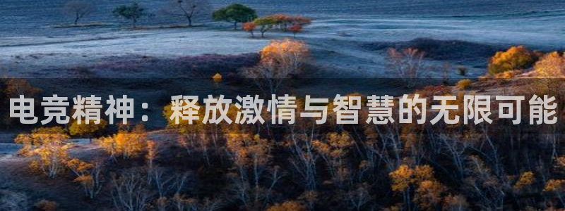 米兰电竞App官方：电竞精神：释放激情与智慧的无限可能
