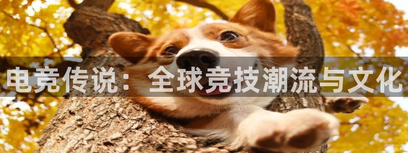 米兰电竞：电竞传说：全球竞技潮流与文化