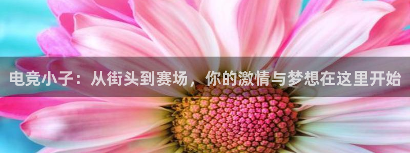 米兰电竞：电竞小子：从街头到赛场，你的激情与梦想在这里开始