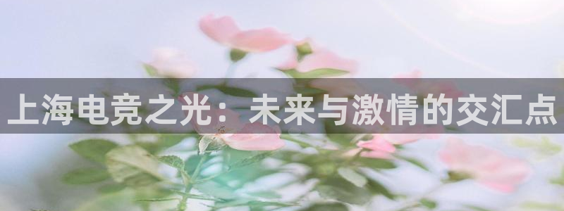 米兰电竞App官方：上海电竞之光：未来与激情的交汇点